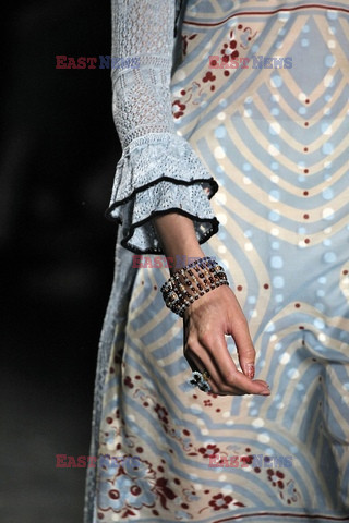 Anna Sui details