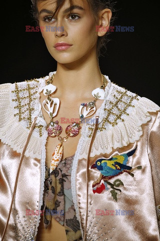 Anna Sui details