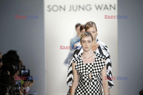 Son Jung Wan