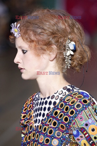 Ashish details