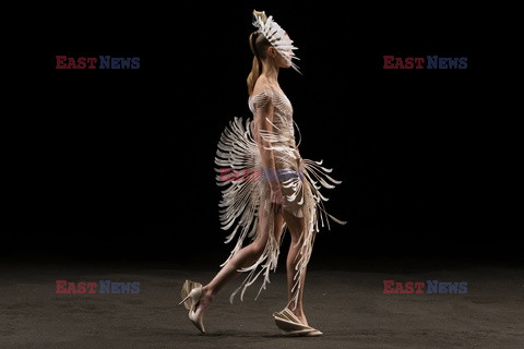 Iris Van Herpen