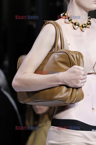 Miu Miu details