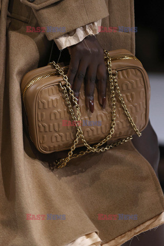 Miu Miu details