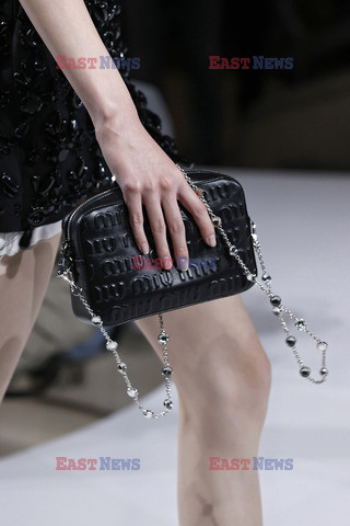 Miu Miu details