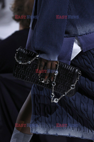 Miu Miu details