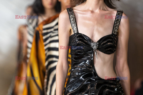 Roberto Cavalli details