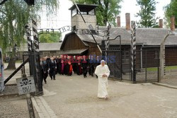 Auschwitz - Birkenau