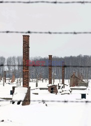 Obóz koncetracyjny Auschwitz-Birkenau