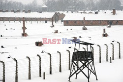 Obóz koncetracyjny Auschwitz-Birkenau