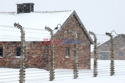 Obóz koncetracyjny Auschwitz-Birkenau