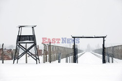 Obóz koncetracyjny Auschwitz-Birkenau