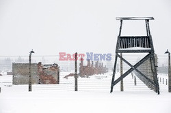 Obóz koncetracyjny Auschwitz-Birkenau