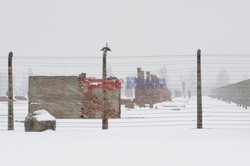 Obóz koncetracyjny Auschwitz-Birkenau