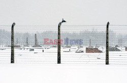 Obóz koncetracyjny Auschwitz-Birkenau