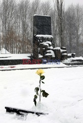 Obóz koncetracyjny Auschwitz-Birkenau