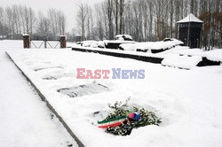 Obóz koncetracyjny Auschwitz-Birkenau