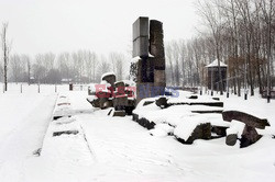 Obóz koncetracyjny Auschwitz-Birkenau