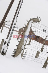 Obóz koncetracyjny Auschwitz-Birkenau