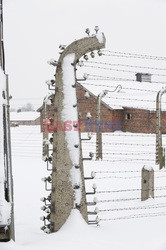 Obóz koncetracyjny Auschwitz-Birkenau