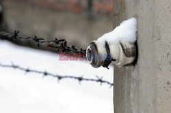 Obóz koncetracyjny Auschwitz-Birkenau