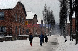 Obóz koncetracyjny Auschwitz-Birkenau