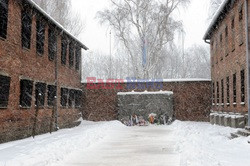 Obóz koncetracyjny Auschwitz-Birkenau