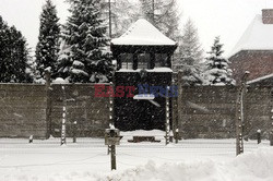 Obóz koncetracyjny Auschwitz-Birkenau