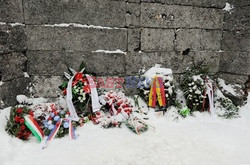 Obóz koncetracyjny Auschwitz-Birkenau