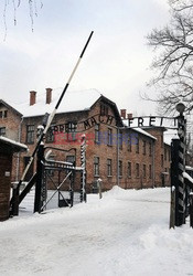 Obóz koncetracyjny Auschwitz-Birkenau