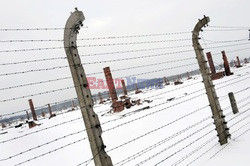 Obóz koncetracyjny Auschwitz-Birkenau