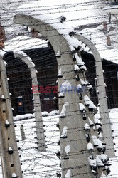 Obóz koncetracyjny Auschwitz-Birkenau