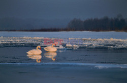 MAZOWSZE AdLa