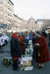 Kraków