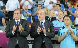 VIP-y i celebryci na Euro 2012