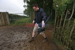 F1 British Grand Prix