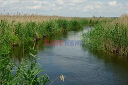 Podlasie Marek Bazak