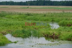 Podlasie Marek Bazak