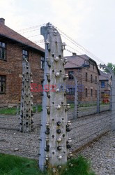 Muzeum Auschwitz-Birkenau