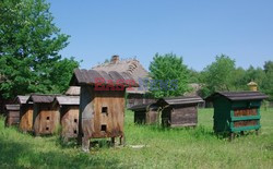 Podlasie Marek Bazak