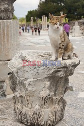 Turkey reportage