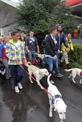 IV Parada Labradorow na Polach Mokotowskich