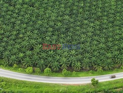 Aerial images of cityscape, landscape, and agriculture in Johor, Malaysia