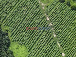 Aerial images of cityscape, landscape, and agriculture in Johor, Malaysia