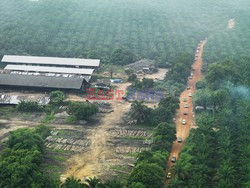 Aerial images of cityscape, landscape, and agriculture in Johor, Malaysia