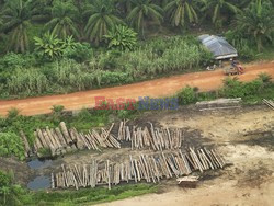 Aerial images of cityscape, landscape, and agriculture in Johor, Malaysia