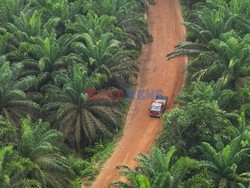 Aerial images of cityscape, landscape, and agriculture in Johor, Malaysia