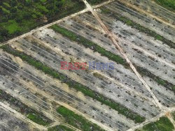 Aerial images of cityscape, landscape, and agriculture in Johor, Malaysia