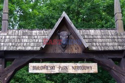 Podlasie Marek Bazak