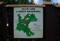 Podlasie Marek Bazak