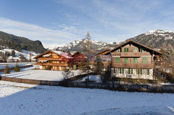 Chalet Tino Zervudachi - Andreas von Einsiedel